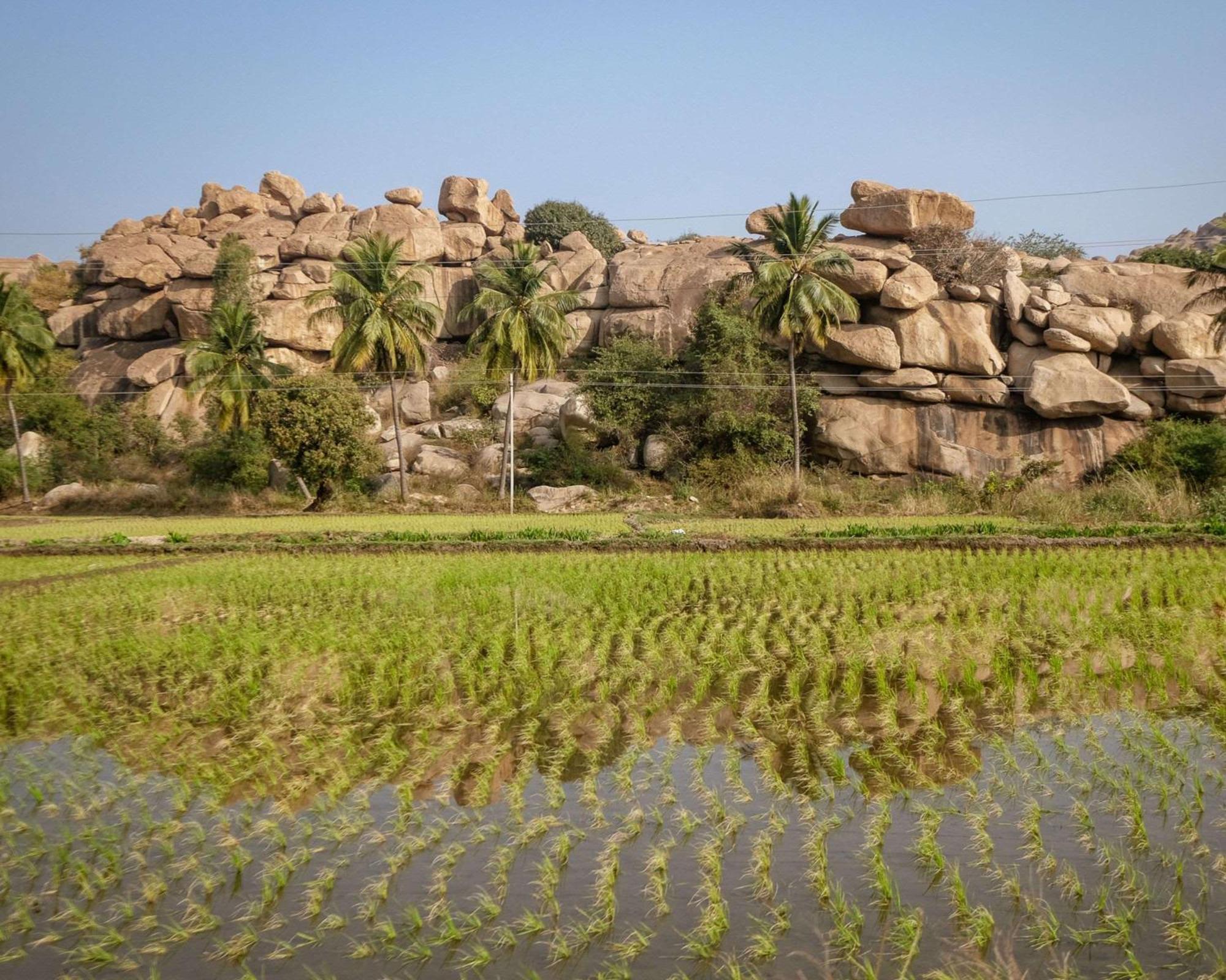 Hyatt Place Hampi Exteriér fotografie
